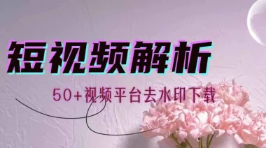 视频链接解析机器人_二创必备（无限版）（支持50+视频平台去水印）-子潮网
