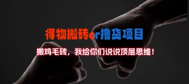 得物搬砖/撸货项目？掰下数据，我给你们说说顶层思维！-子潮网