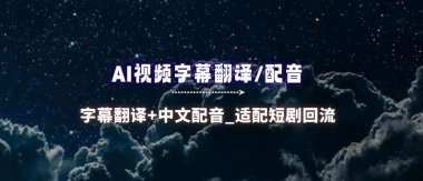 AI视频字幕翻译+创建中英文配音_适配短剧回流打法实操-子潮网