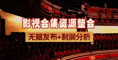 影视合集资源整合_无脑发布+利润分析-子潮网