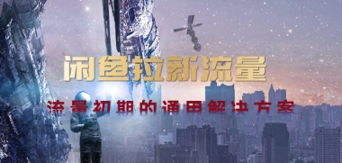闲鱼拉新流量_流量初期引流与项目推广思路-子潮网
